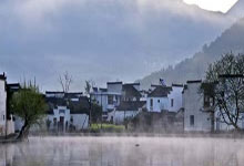 龙华茶叶资源地图：共享与推广的最佳路径